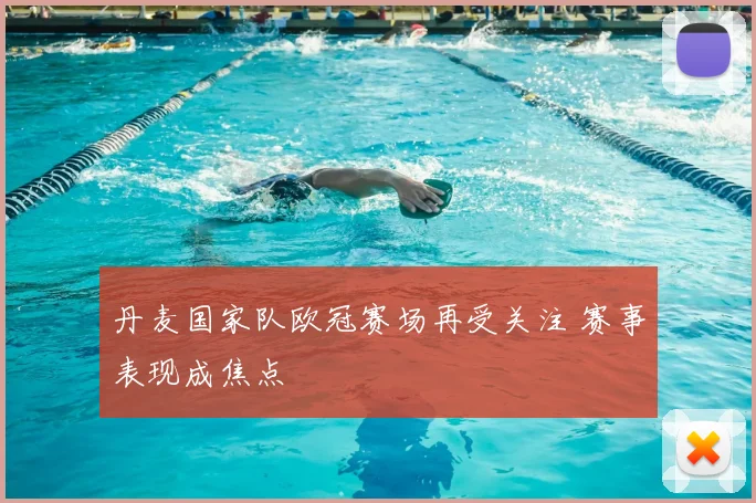 丹麦国家队欧冠赛场再受关注 赛事表现成焦点