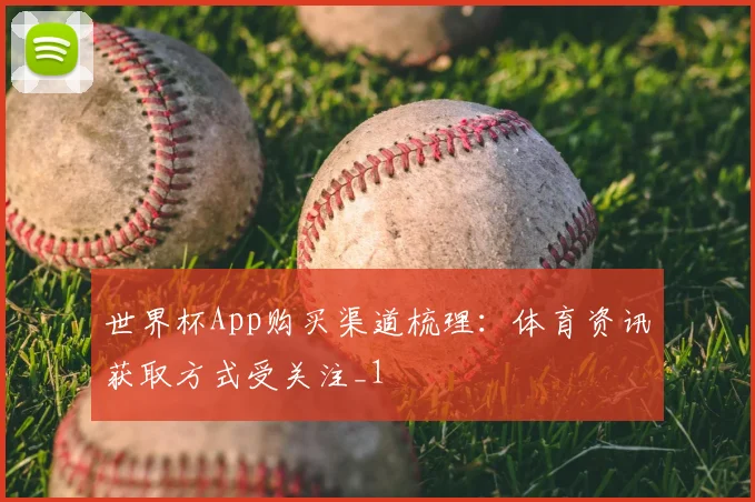 世界杯App购买渠道梳理：体育资讯获取方式受关注_1