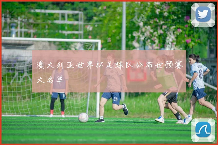 澳大利亚世界杯足球队公布世预赛大名单