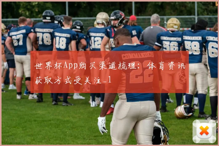 世界杯App购买渠道梳理:体育资讯获取方式受关注_1