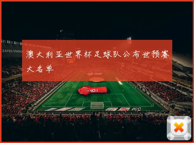 澳大利亚世界杯足球队公布世预赛大名单
