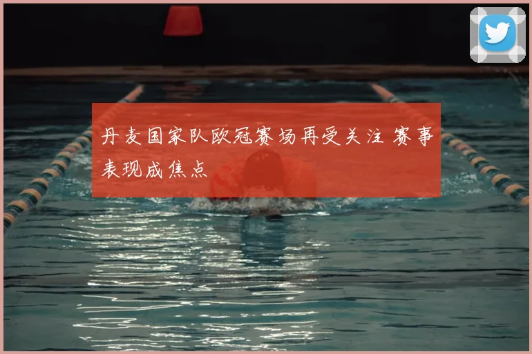 丹麦国家队欧冠赛场再受关注 赛事表现成焦点