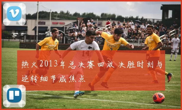 热火2013年总决赛回放 决胜时刻与逆转细节成焦点