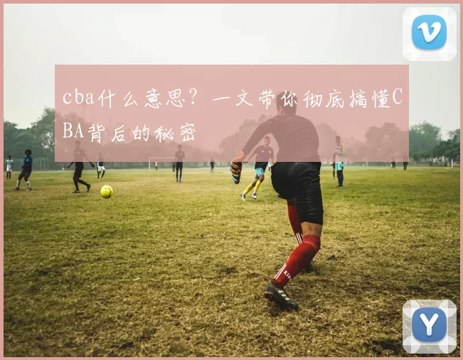cba什么意思?一文带你彻底搞懂CBA背后的秘密